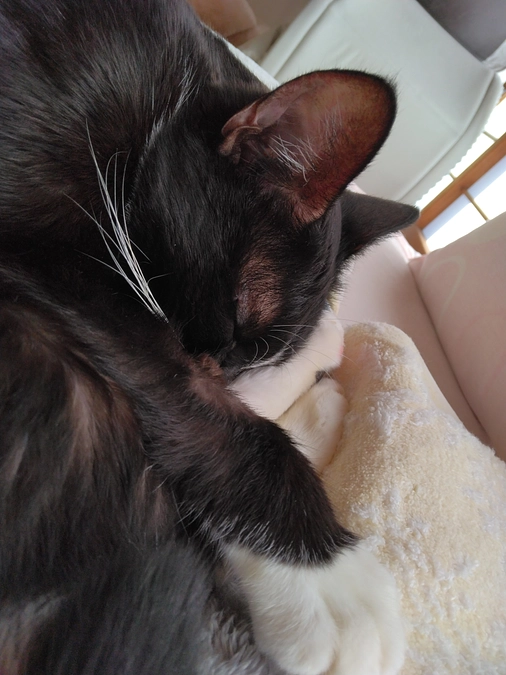 10/30はなちゃんの様子