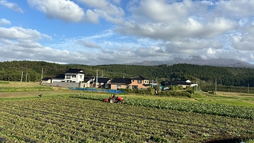 "雲仙市×かぼちゃ”で始める 「儲かる農業」 のトップ画像