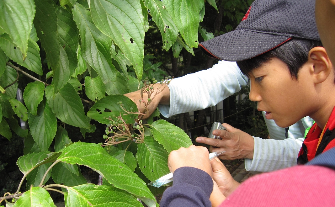 エコまるフレンド_1000円コース
