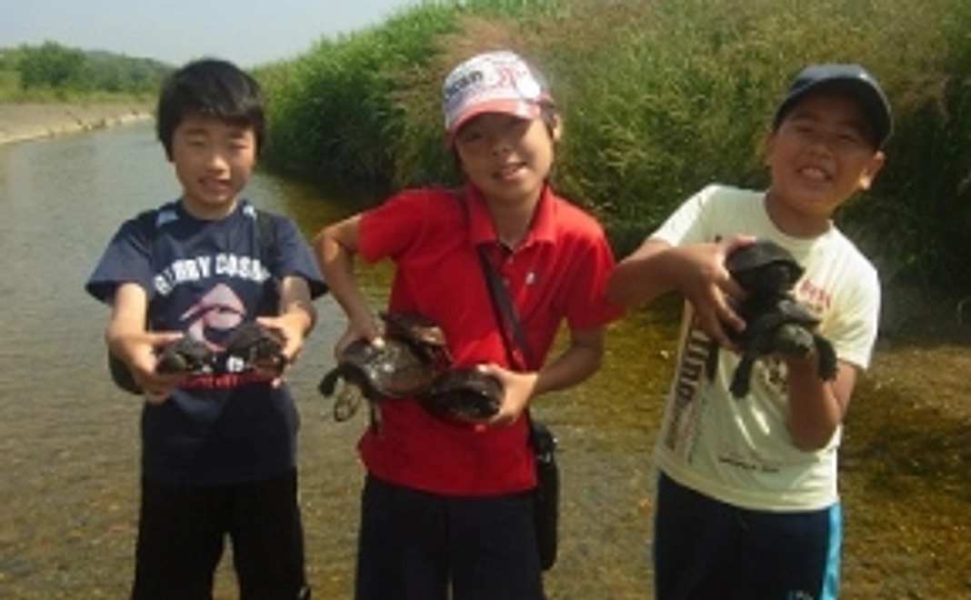 エコまるフレンド_3000円コース