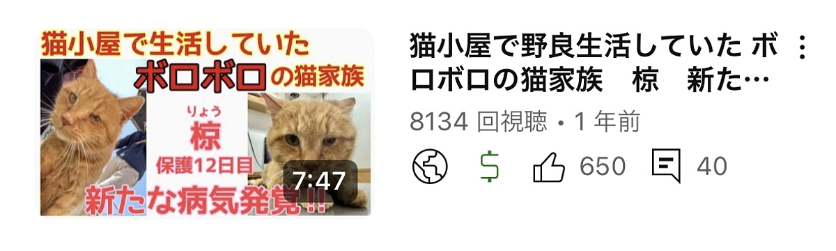 虐待か??それとも事故か??