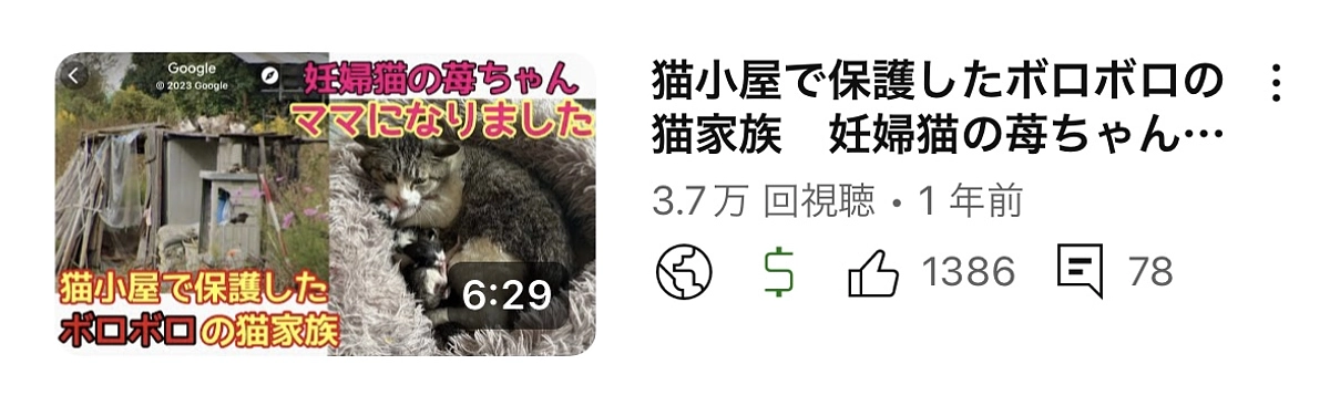 苺（いちご）ちゃんママになりました