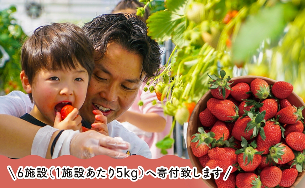 【法人様/いちご狩りコース】いちご狩り体験（20名様）
