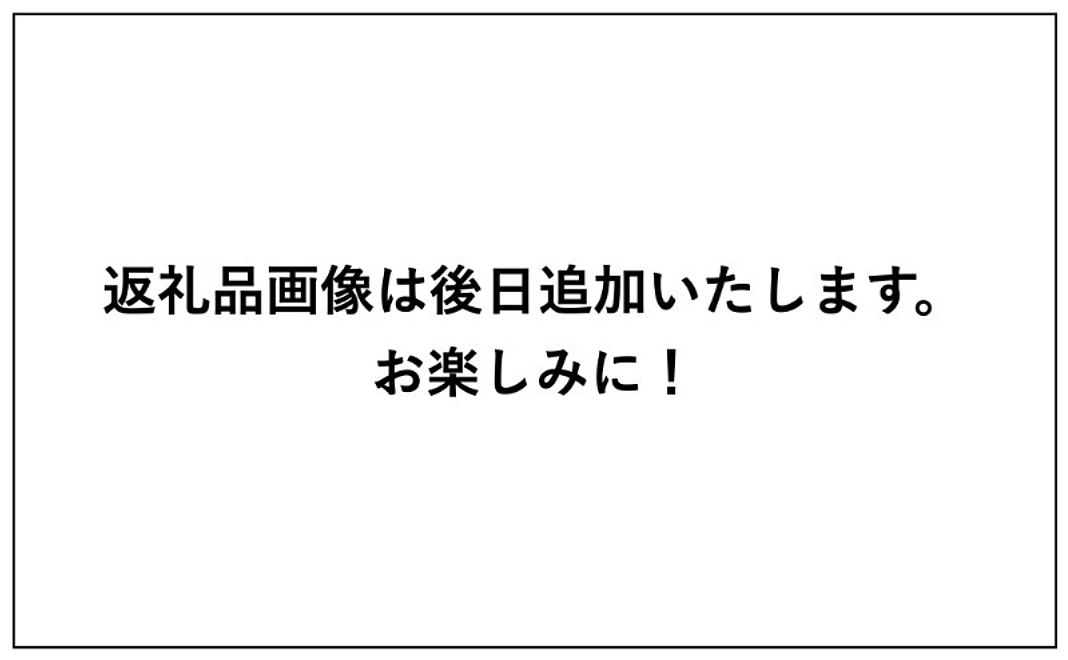 【グッズコース】支援者様限定｜弁天様のイラストお守り