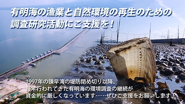 有明海の漁業と自然環境の再生のための調査研究活動にご支援を！ のトップ画像