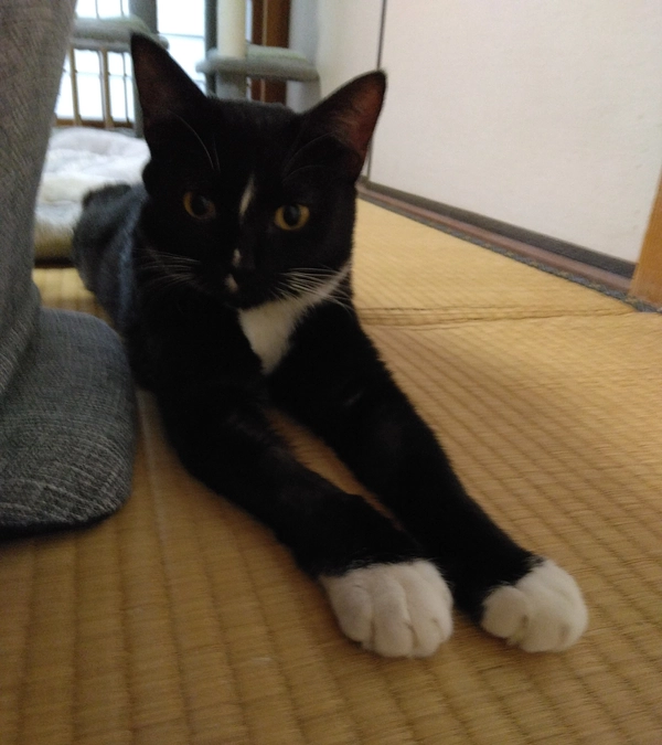 11/10はなちゃんの様子