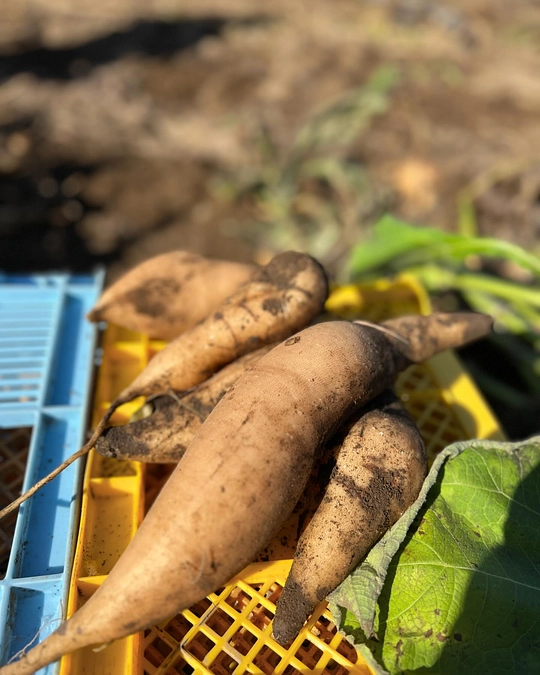 SEIZE THE DAY「THE WORLD」Report-17