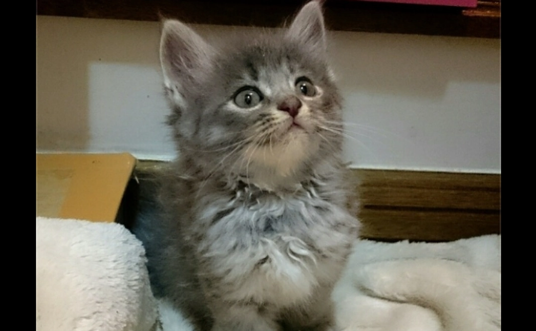 リターン不要な方