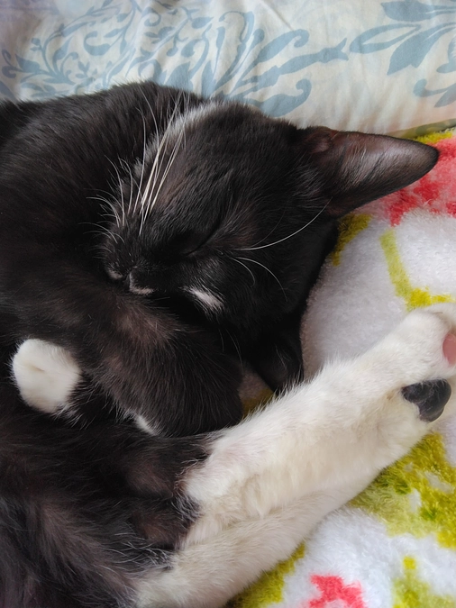 11/12はなちゃんの様子