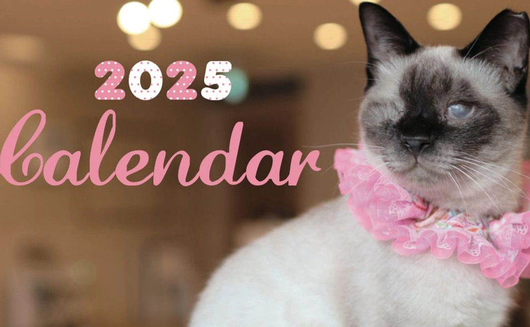 ねこかつカレンダーで応援！