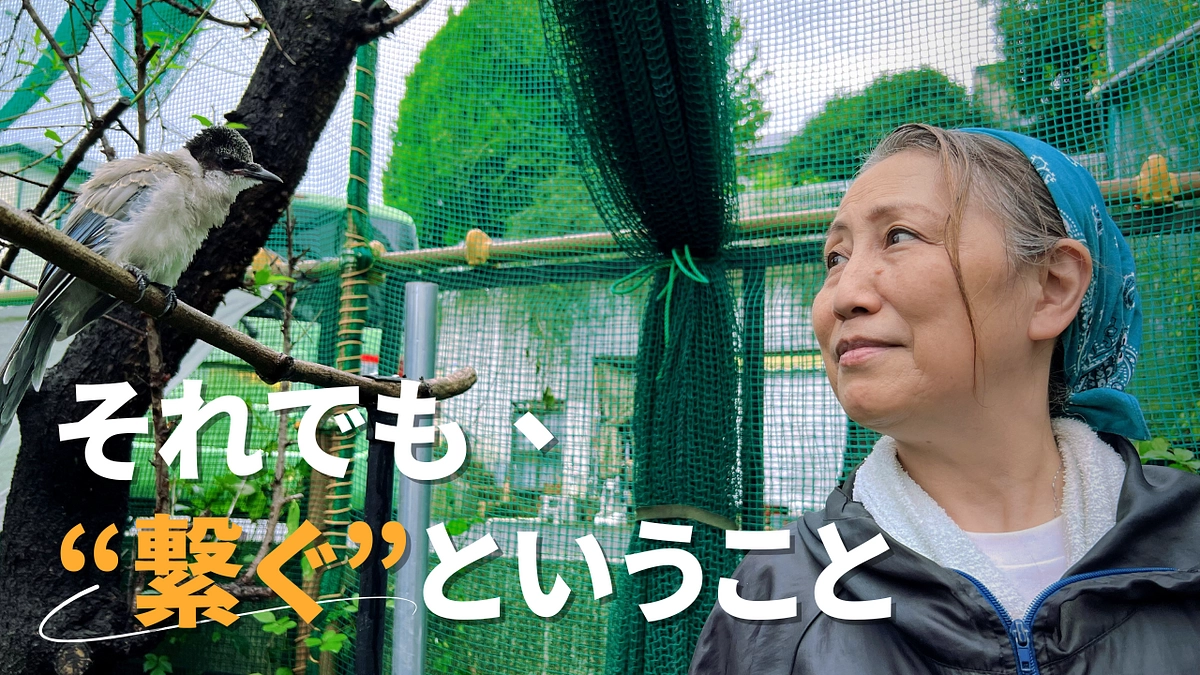 JWCの過去｜それでも、"継なぐ"ということ