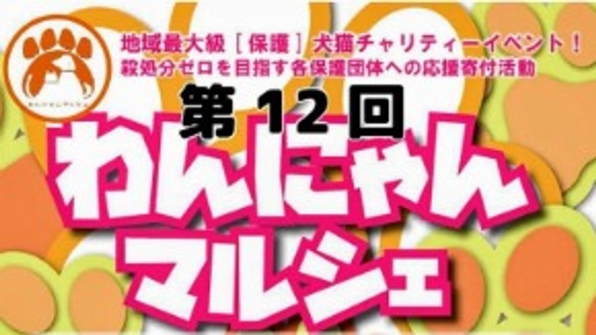 2024年9月・10月の収支報告と譲渡会のお知らせ