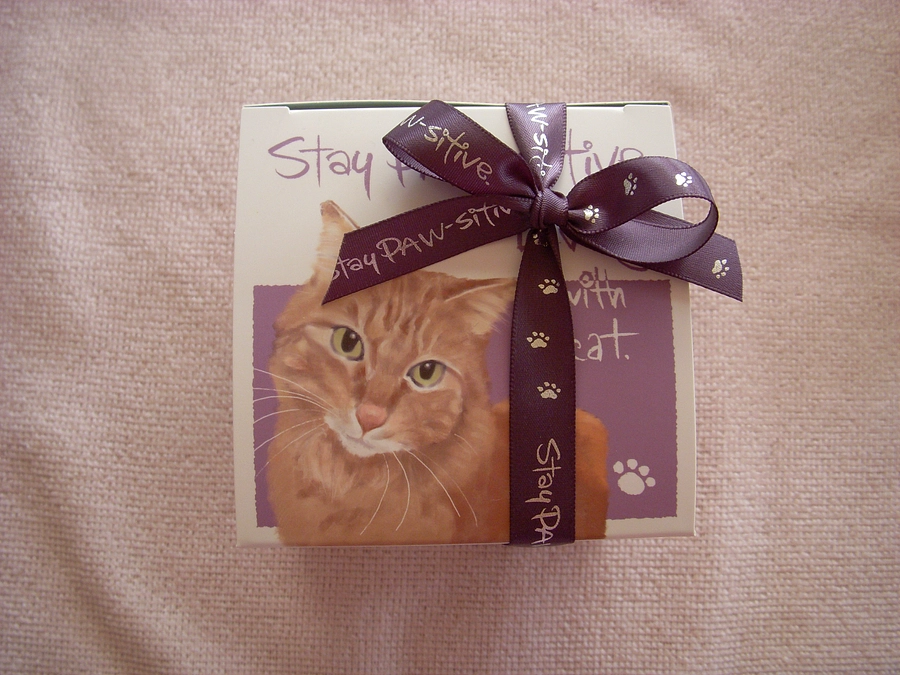 Ｙ.Ｔ様より可愛い猫の箱に入ったお菓子を頂きました