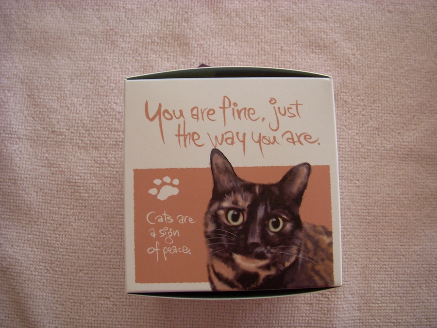 Amasonﾌｨｯｼﾝｸﾞ詐欺ﾒｰﾙにご注意下さい！＼＿(´・ω・`)ﾖｰﾁｭｳｲ!!