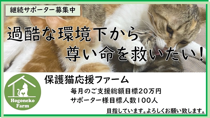 保護猫応援ファームのサポーター募集中！保護猫活動の継続支援を！