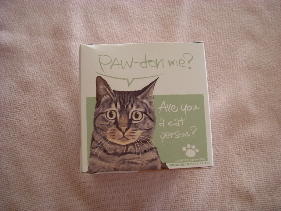 お知らせ　＼_(*・ω・)ﾊｲ､ｺﾚ