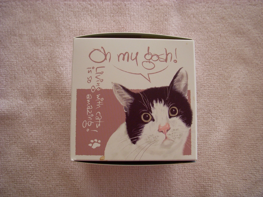猫の血圧は尻尾でも測れます　最高１５０ｍｍHg超えると高血圧