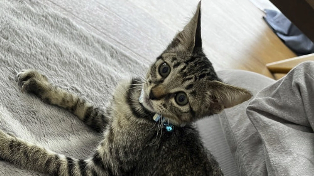 11月の中間報告！