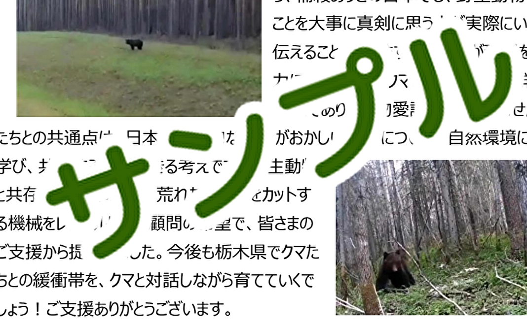 お礼とクマ活動報告記載の季刊誌