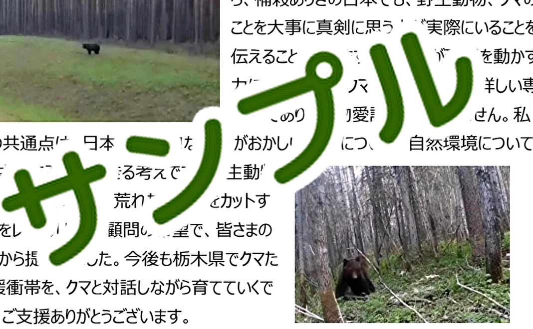 お礼とクマ活動報告記載の季刊誌3000