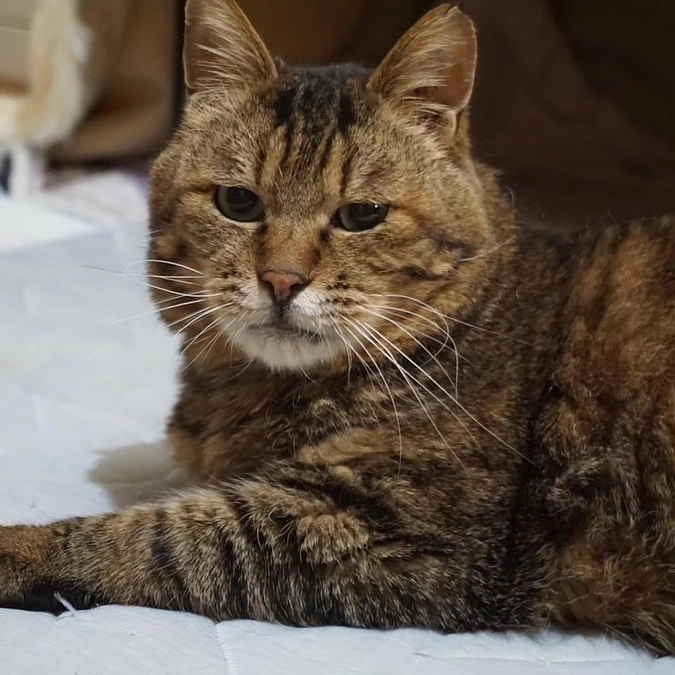 小樽市出身・三畳間♂《「口腔ケア」クラウドファンディング》その後