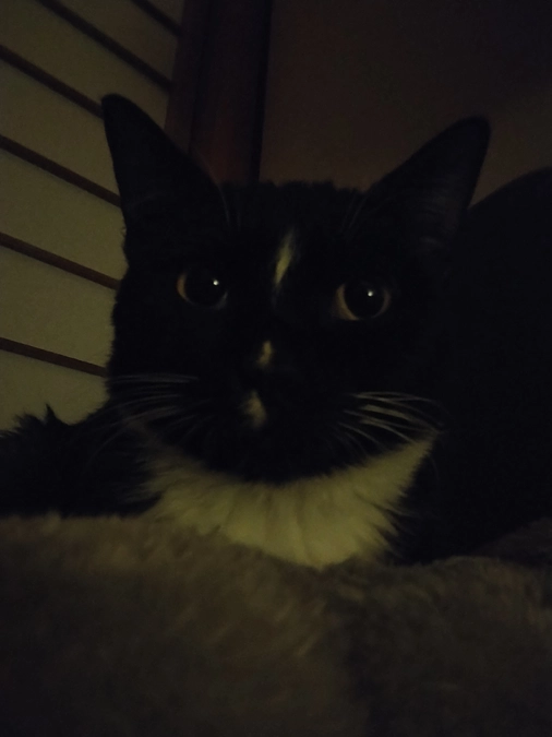 11/20はなちゃんの様子