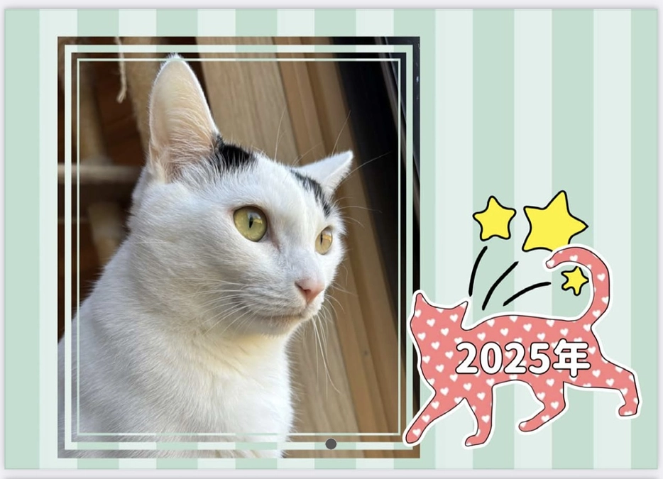 カレンダー出来上がってますー！