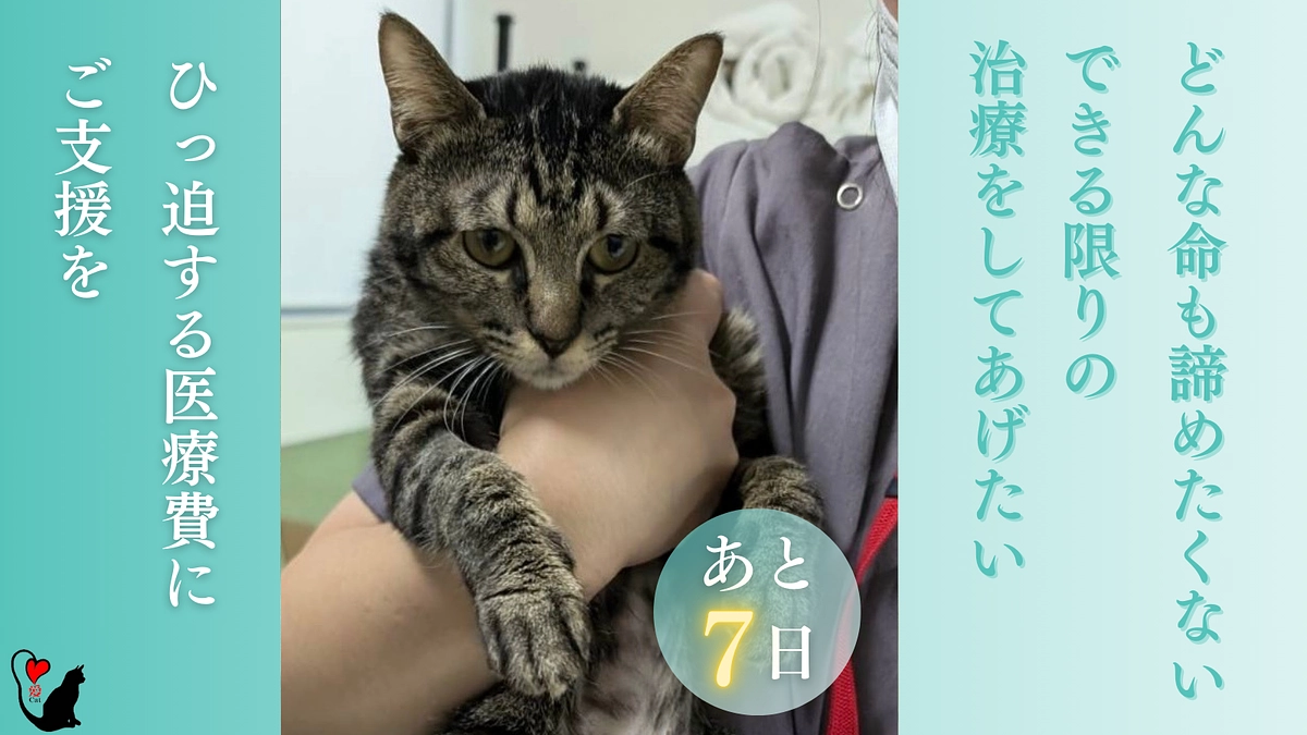 クラウドファンディング挑戦！残り【7日】