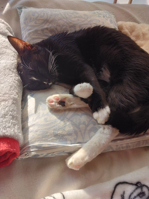 11/22はなちゃんの様子