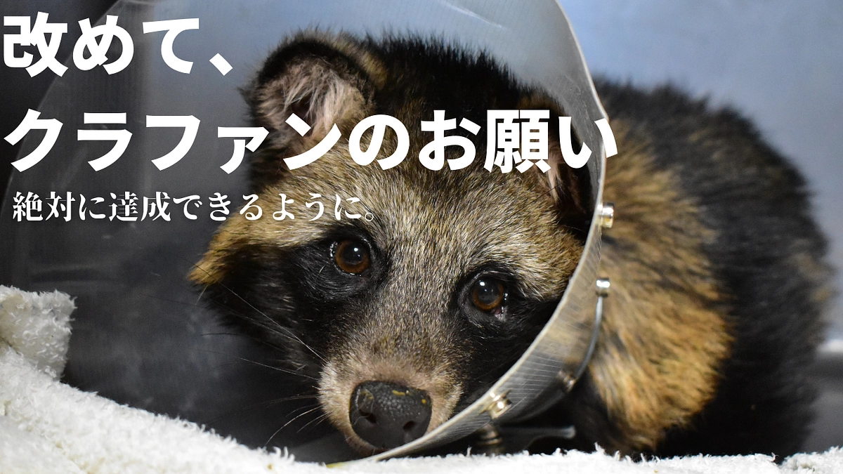 【クラファンのお願い】厳しい状況…それでも絶対に達成させたい