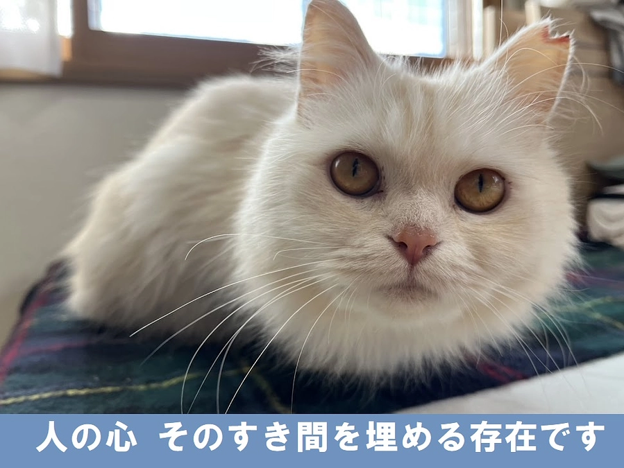 【行政と共に　啓発の加速】