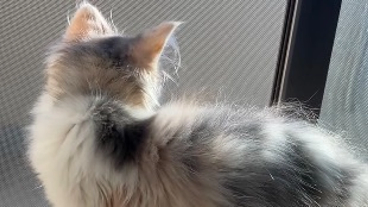 ねるちゃん1ヶ月で体重０.５kg増加!!!