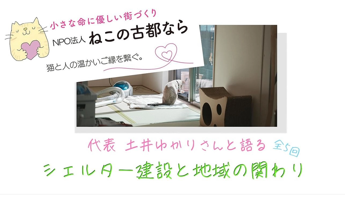 ねこまち長屋　シェルターの事をお話させて頂いてます。。。