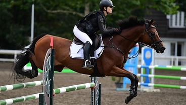 元競走馬とアマチュアライダーの挑戦 のトップ画像