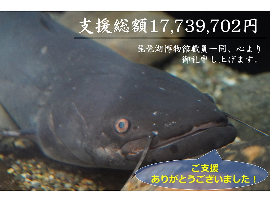 クラウドファンディング終了しました！みなさまご支援いただきありがとうございました！