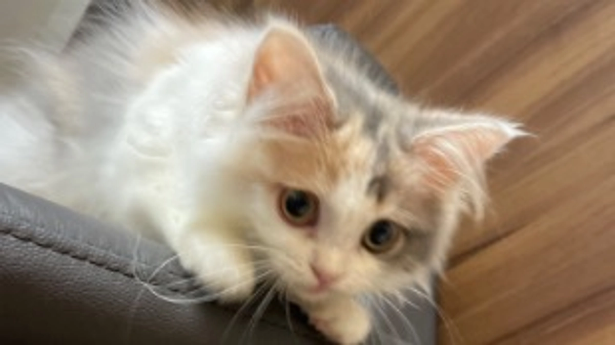 代理支援のご案内