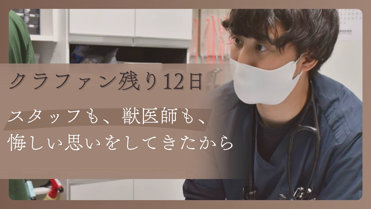 【クラファン残り12日】スタッフも、獣医師も、悔しい思いをしてきたから