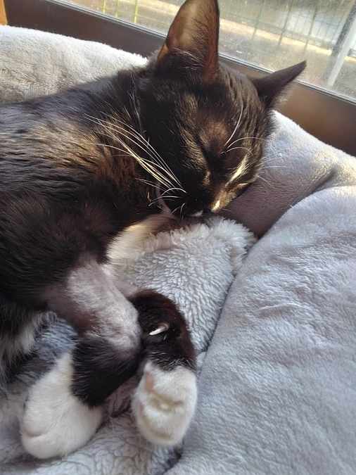 12/2はなちゃんの様子