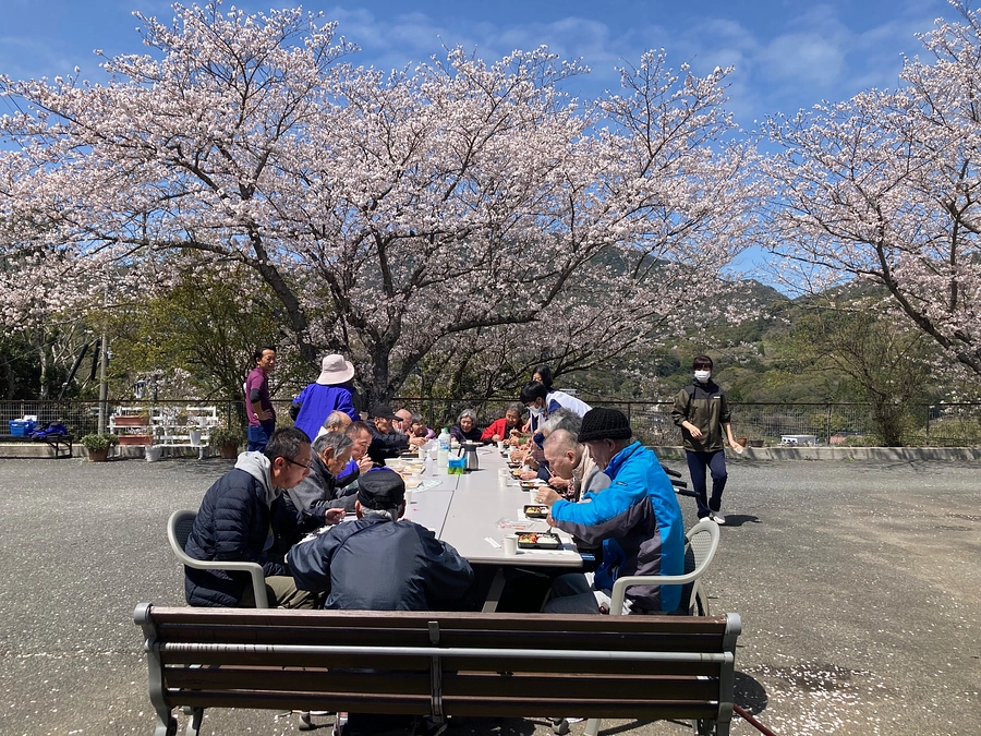 新年度を迎えました
