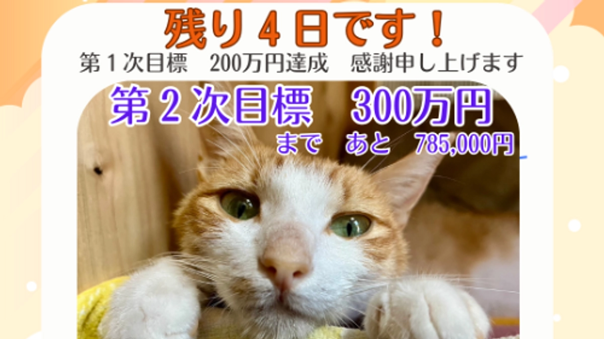 残り４日になりました！！