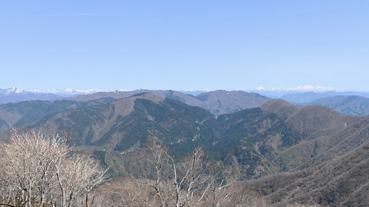 第9回伊吹山イヌワシ観察会のお知らせ