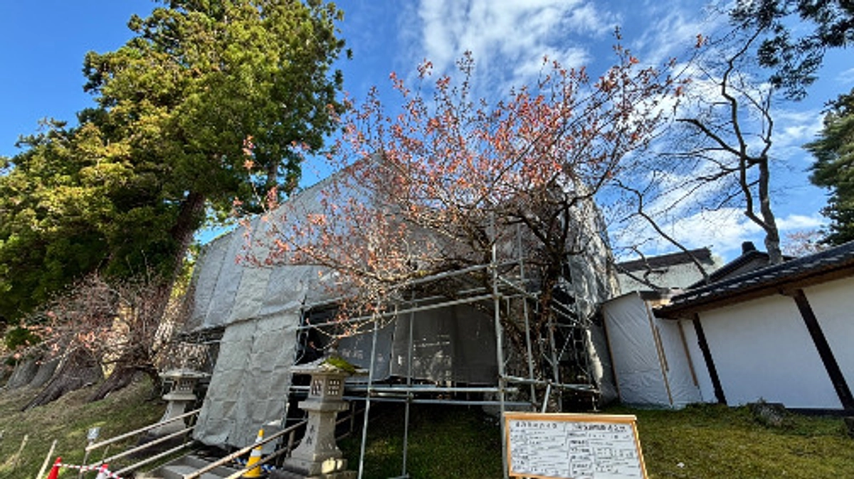 【ご報告】中間目標(40％)に到達しました。誠にありがとうございます。