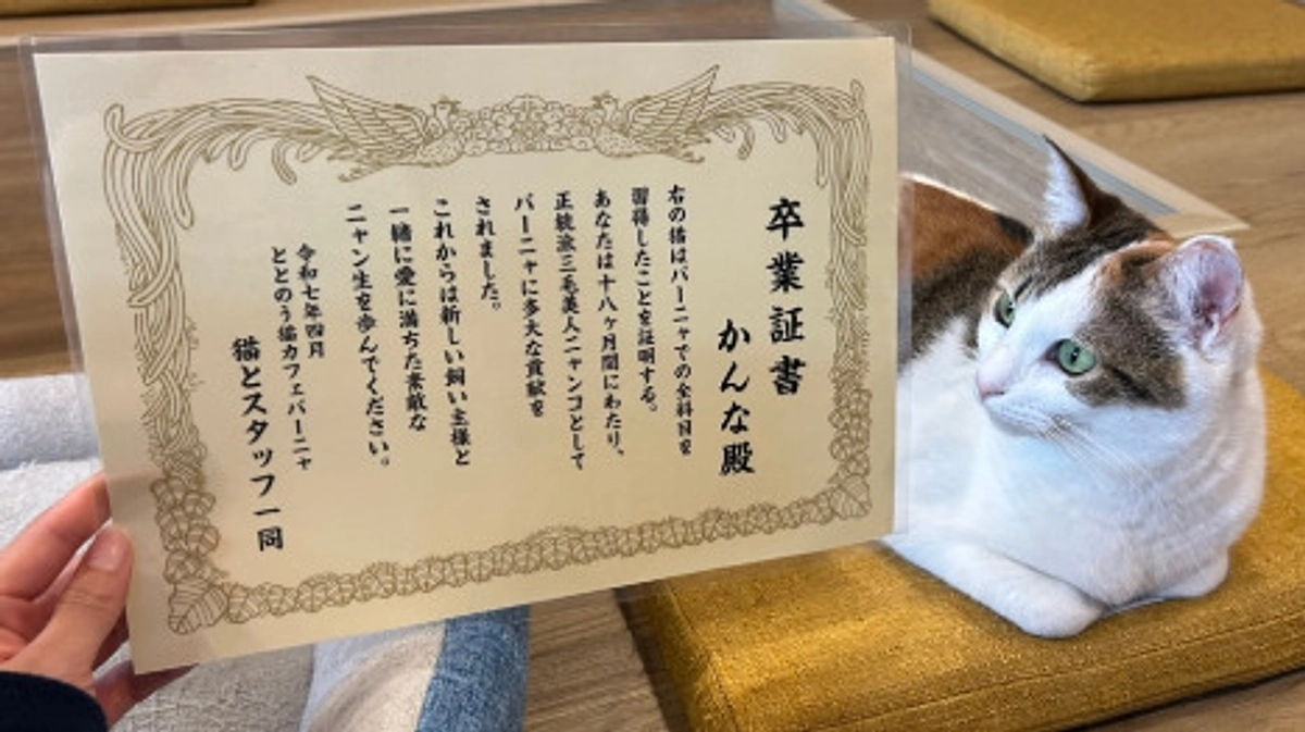 凛ちゃん本格譲渡決定とかんなちゃんトライアル出発🌸