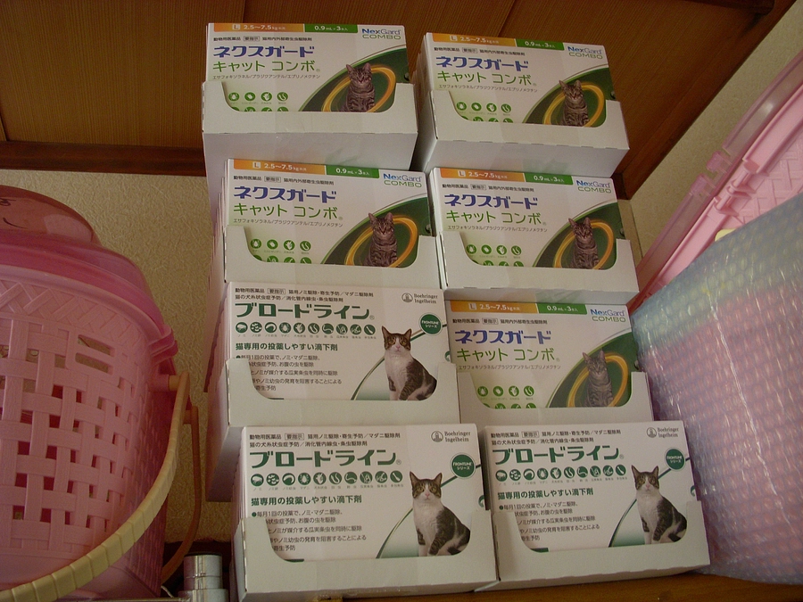 ネクスガードキャットコンボ追加と往診