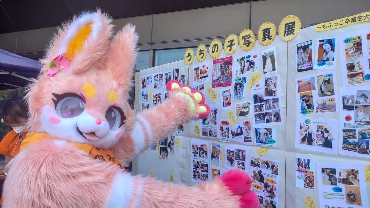 残り１日になりました！