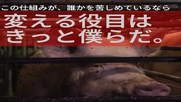 がんばったお母さん豚に、妊娠ストールの外で自由と安らぎを届けたい のトップ画像