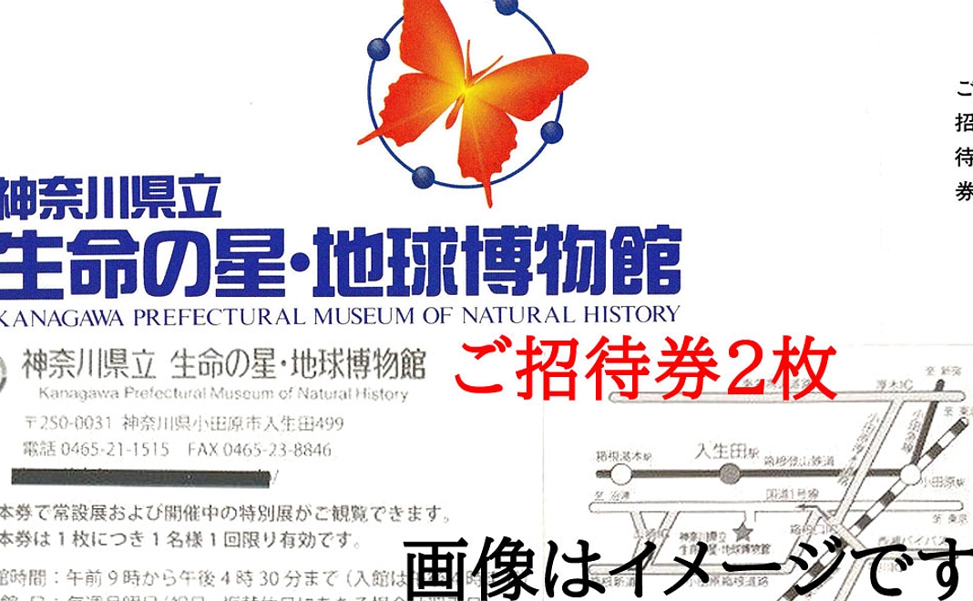 お好きな1本分データ（オンライン送付）/神奈川県立生命の星・地球博物館無料招待券2枚