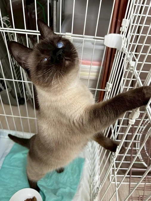 4/27帯広市から、《6匹》新人さんたちがやって来ました