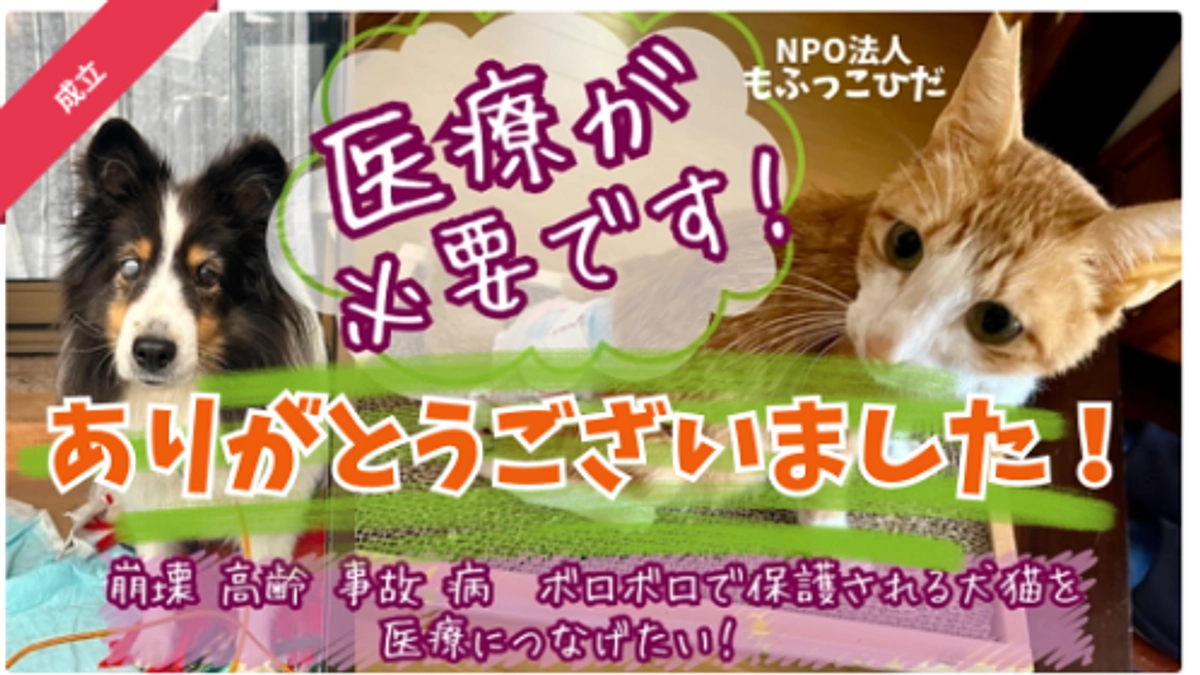 §応援ありがとうございました§