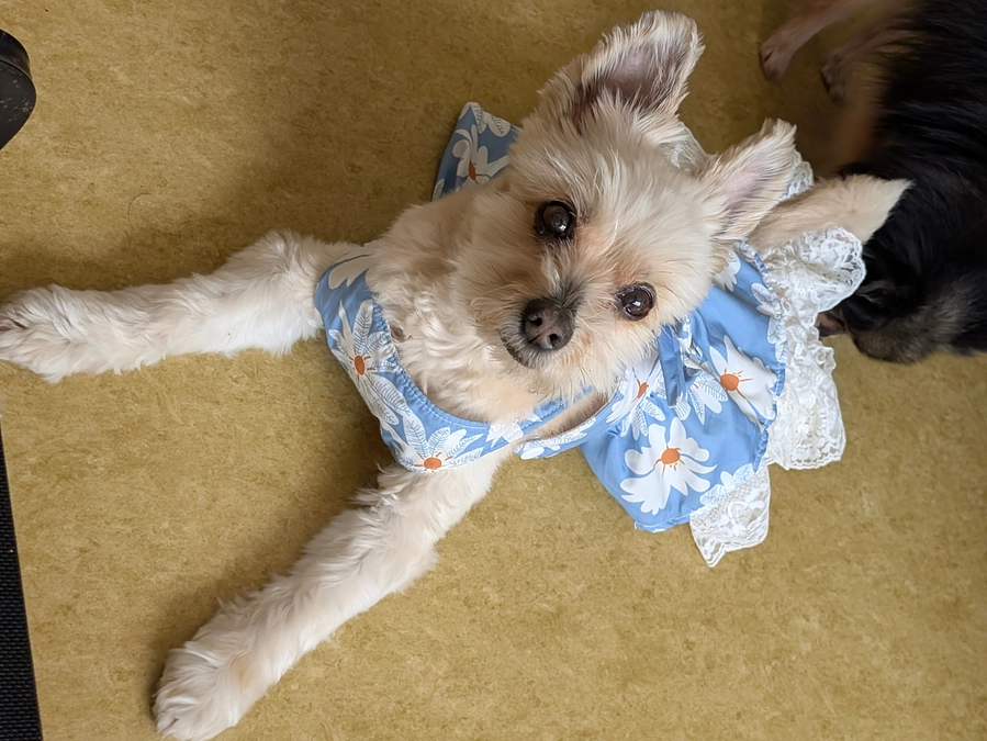 シェルターの活動報告